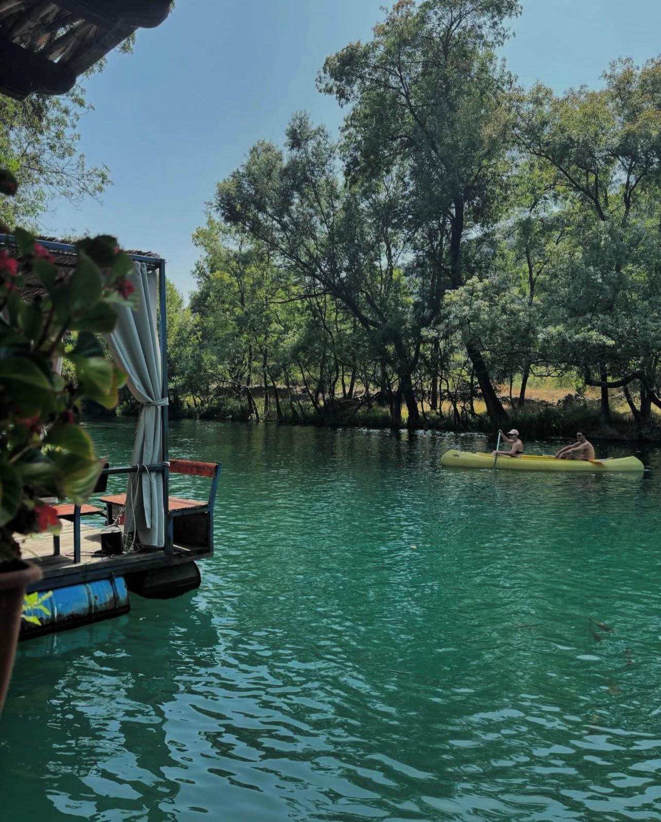At Želje