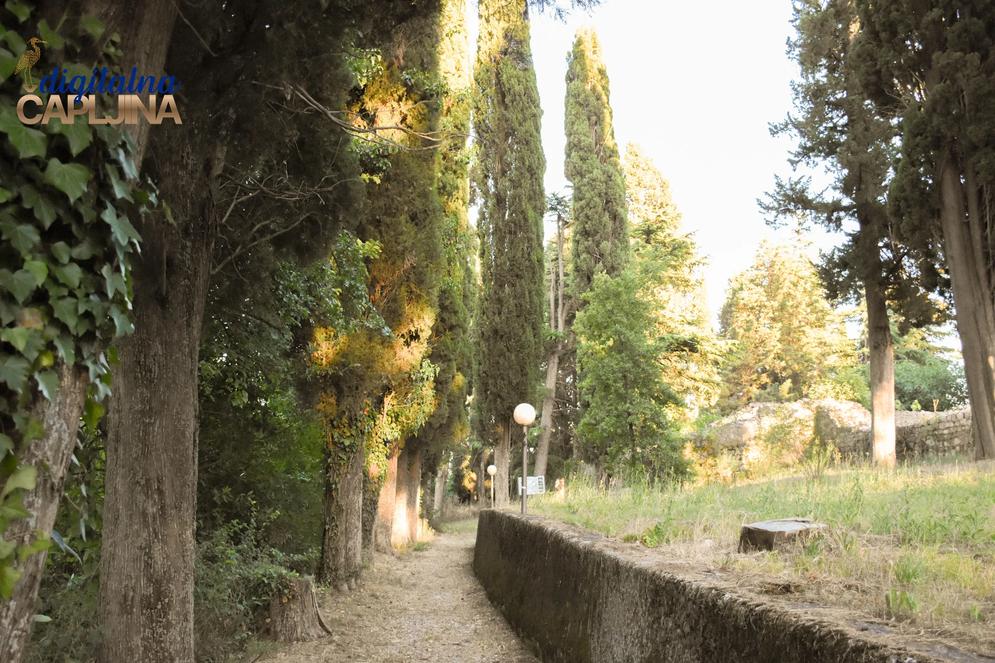Gallery photo 19: Mogorjelo
