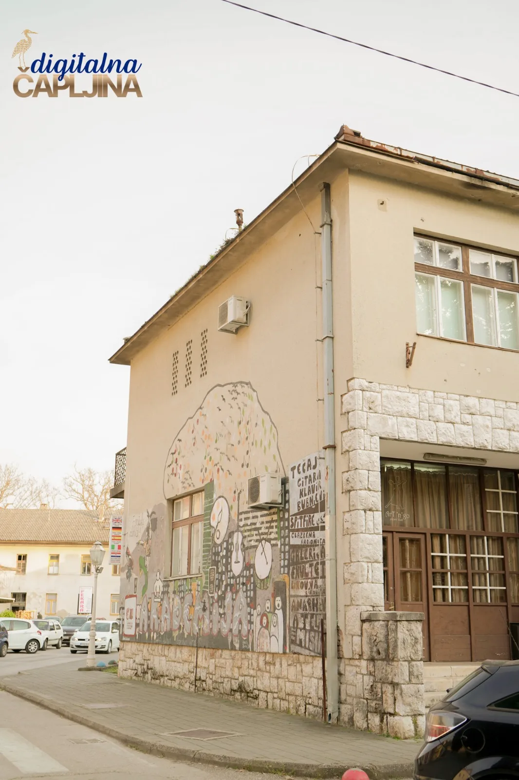 Academy Čapljina
