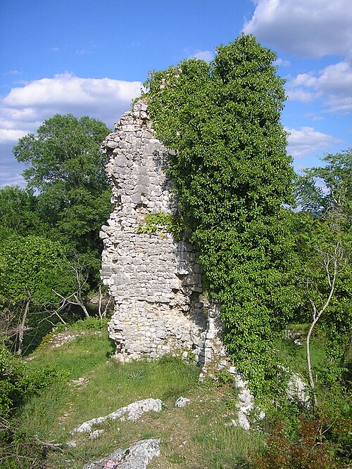 Cape Tower